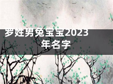 罗姓男兔宝宝2023年名字