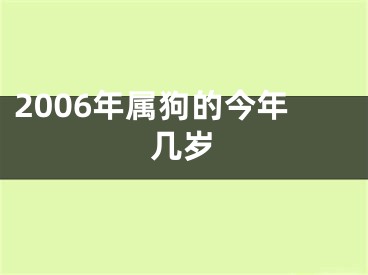 2006年属狗的今年几岁