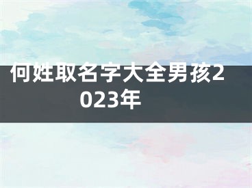 何姓取名字大全男孩2023年