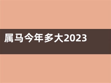 属马今年多大2023