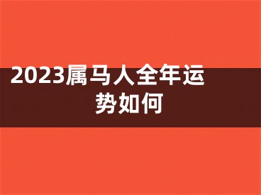 2023属马人全年运势如何