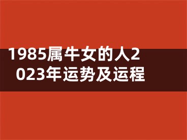 1985属牛女的人2023年运势及运程