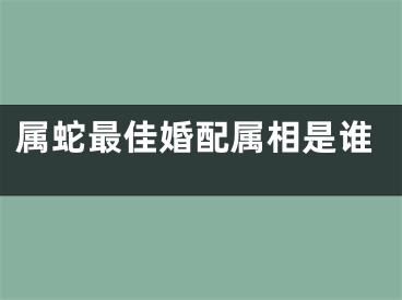 属蛇最佳婚配属相是谁