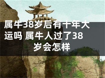 属牛38岁后有十年大运吗 属牛人过了38岁会怎样