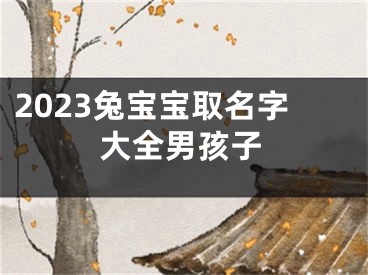 2023兔宝宝取名字大全男孩子