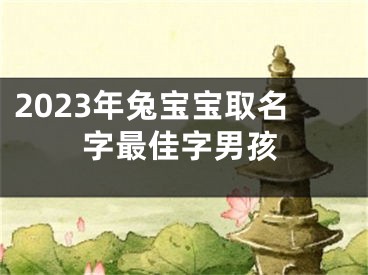 2023年兔宝宝取名字最佳字男孩