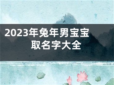 2023年兔年男宝宝取名字大全