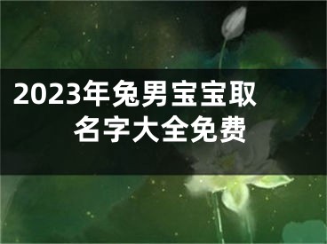 2023年兔男宝宝取名字大全免费