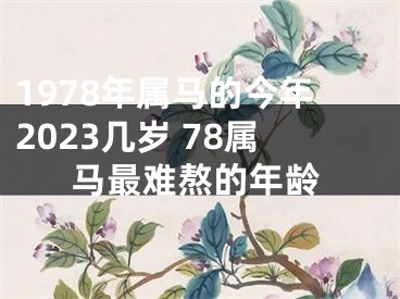 1978年属马的今年2023几岁 78属马最难熬的年龄