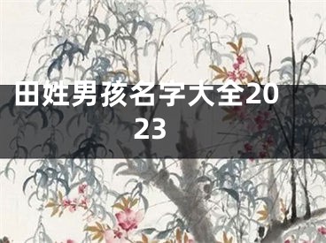 田姓男孩名字大全2023