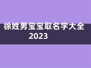 徐姓男宝宝取名字大全2023