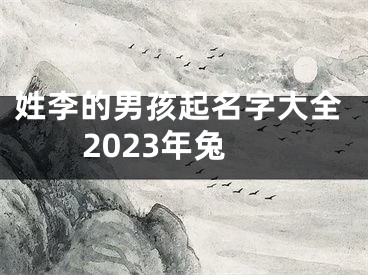 姓李的男孩起名字大全2023年兔