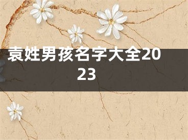 袁姓男孩名字大全2023