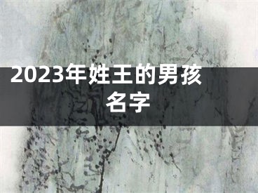 2023年姓王的男孩名字