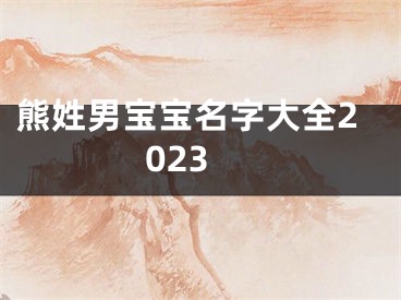 熊姓男宝宝名字大全2023