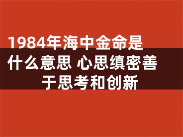 1984年海中金命是什么意思 心思缜密善于思考和创新