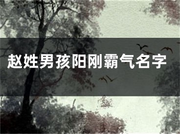 赵姓男孩阳刚霸气名字