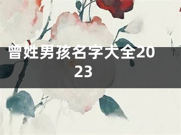 曾姓男孩名字大全2023