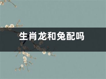 生肖龙和兔配吗