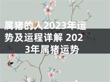 属猪的人2023年运势及运程详解 2023年属猪运势