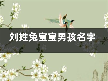 刘姓兔宝宝男孩名字