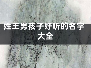 姓王男孩子好听的名字大全