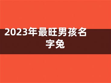 2023年最旺男孩名字兔