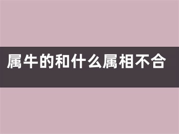 属牛的和什么属相不合