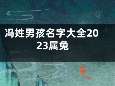 冯姓男孩名字大全2023属兔