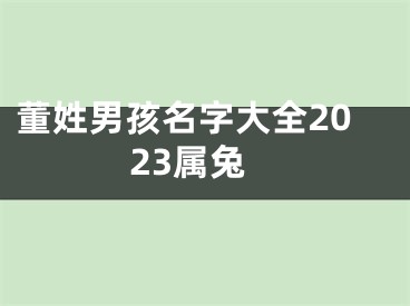 董姓男孩名字大全2023属兔