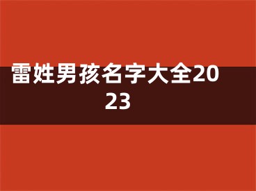 雷姓男孩名字大全2023