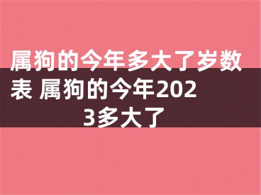 属狗的今年多大了岁数表 属狗的今年2023多大了