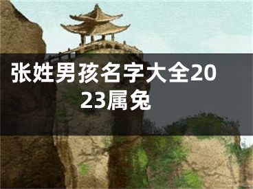 张姓男孩名字大全2023属兔