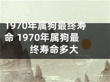 1970年属狗最终寿命 1970年属狗最终寿命多大