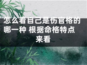 怎么看自己是伤官格的哪一种 根据命格特点来看