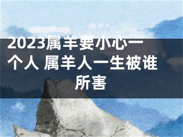 2023属羊要小心一个人 属羊人一生被谁所害