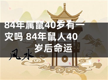 84年属鼠40岁有一灾吗 84年鼠人40岁后命运