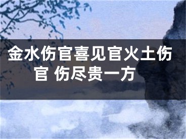 金水伤官喜见官火土伤官 伤尽贵一方