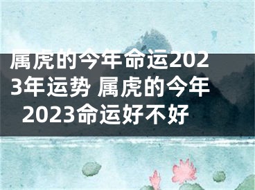 属虎的今年命运2023年运势 属虎的今年2023命运好不好