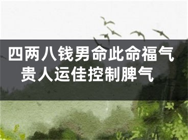 四两八钱男命此命福气 贵人运佳控制脾气