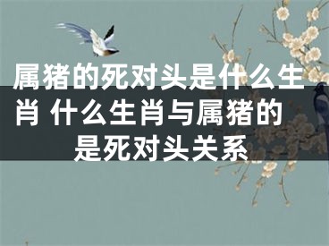 属猪的死对头是什么生肖 什么生肖与属猪的是死对头关系