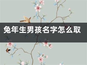 兔年生男孩名字怎么取