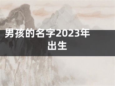 男孩的名字2023年出生