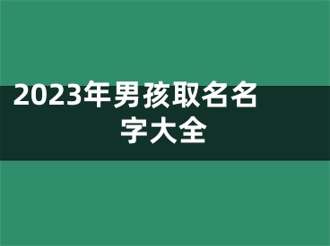 2023年男孩取名名字大全