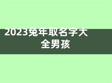 2023兔年取名字大全男孩