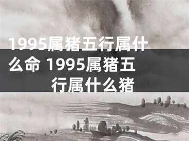 1995属猪五行属什么命 1995属猪五行属什么猪