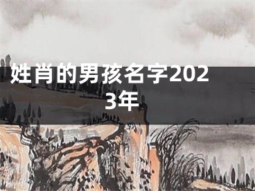 姓肖的男孩名字2023年