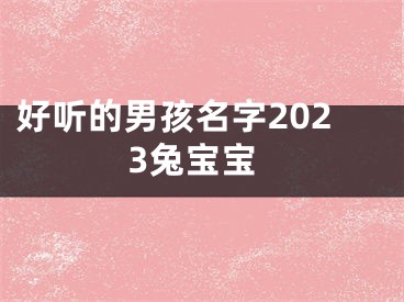 好听的男孩名字2023兔宝宝