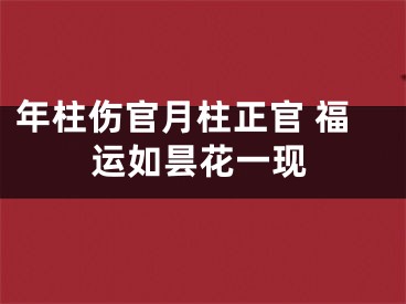 年柱伤官月柱正官 福运如昙花一现