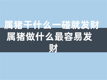 属猪干什么一碰就发财 属猪做什么最容易发财